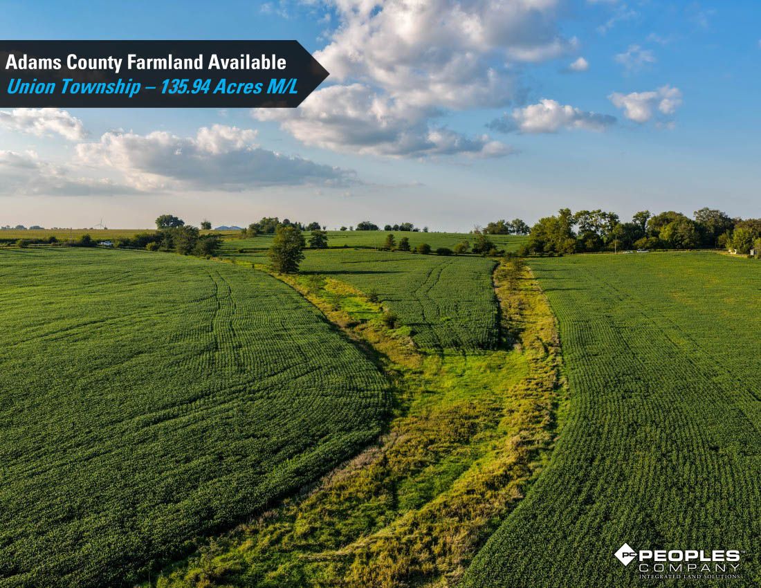 Listing Photo: Adams-County-Iowa-Farmland-Available-136-Acres-Blazek-Estate-19707 (6)